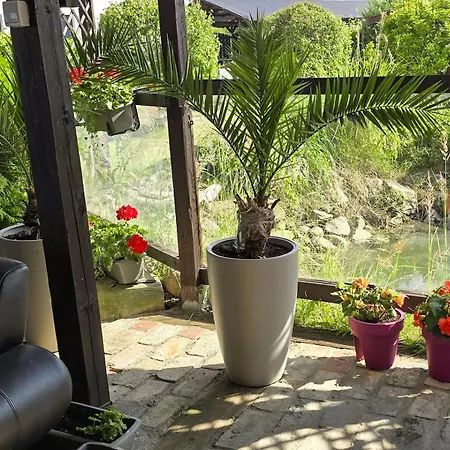Szumi Casa vacanze