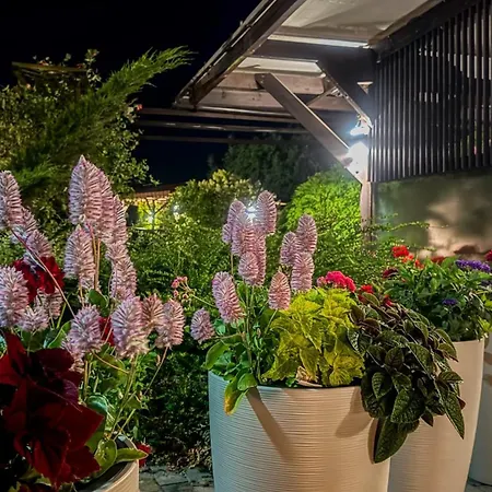 Szumi בית נופש *