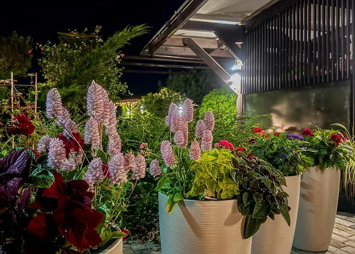 Szumi Holiday home *